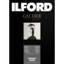 Ilford Galerie Metallic Gloss A4 foto popierius 260g/m², 25 vnt.