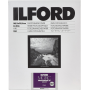 Ilford Multigrade RC Deluxe Pearl 20,3x25,4 cm nespalvotas foto popierius 190g/m², 100 vnt.